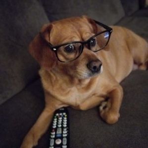 Meet your Posher, Anne